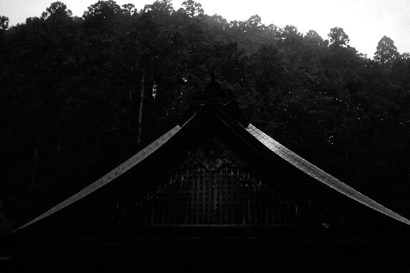 A Quiet Darkness