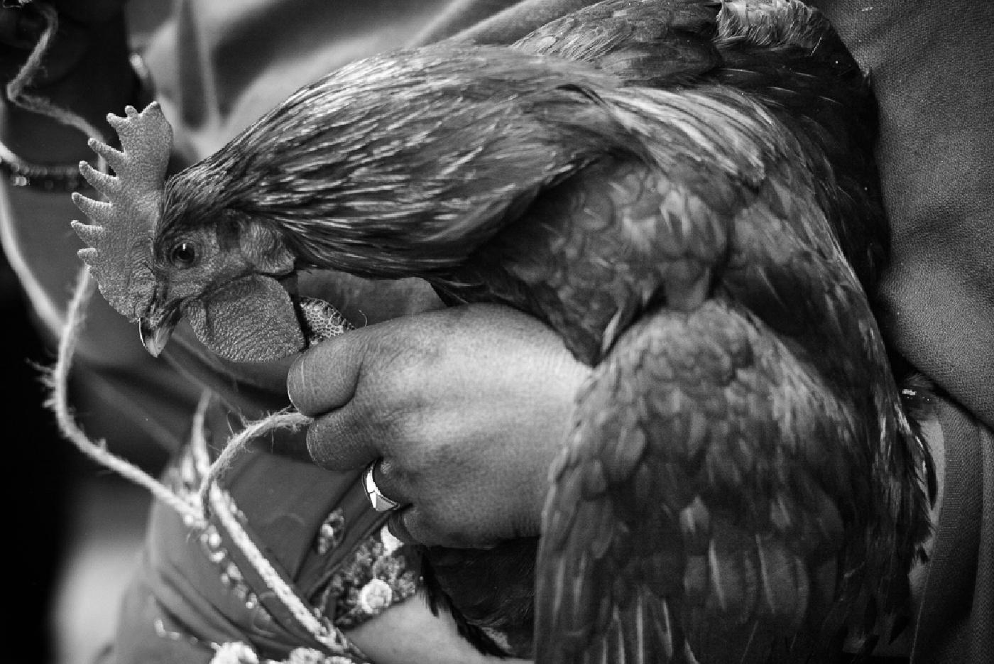 Photograph from Bhaktapur