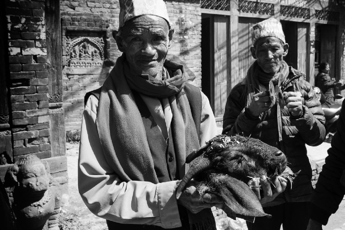 Photograph from Holi