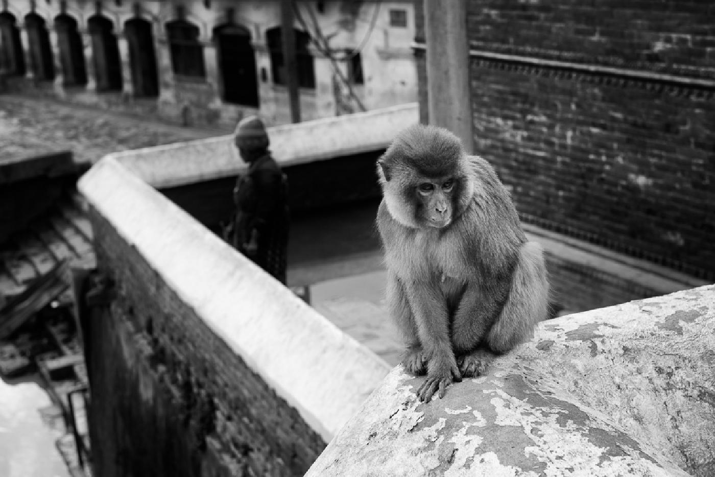 Photograph from Kathmandu