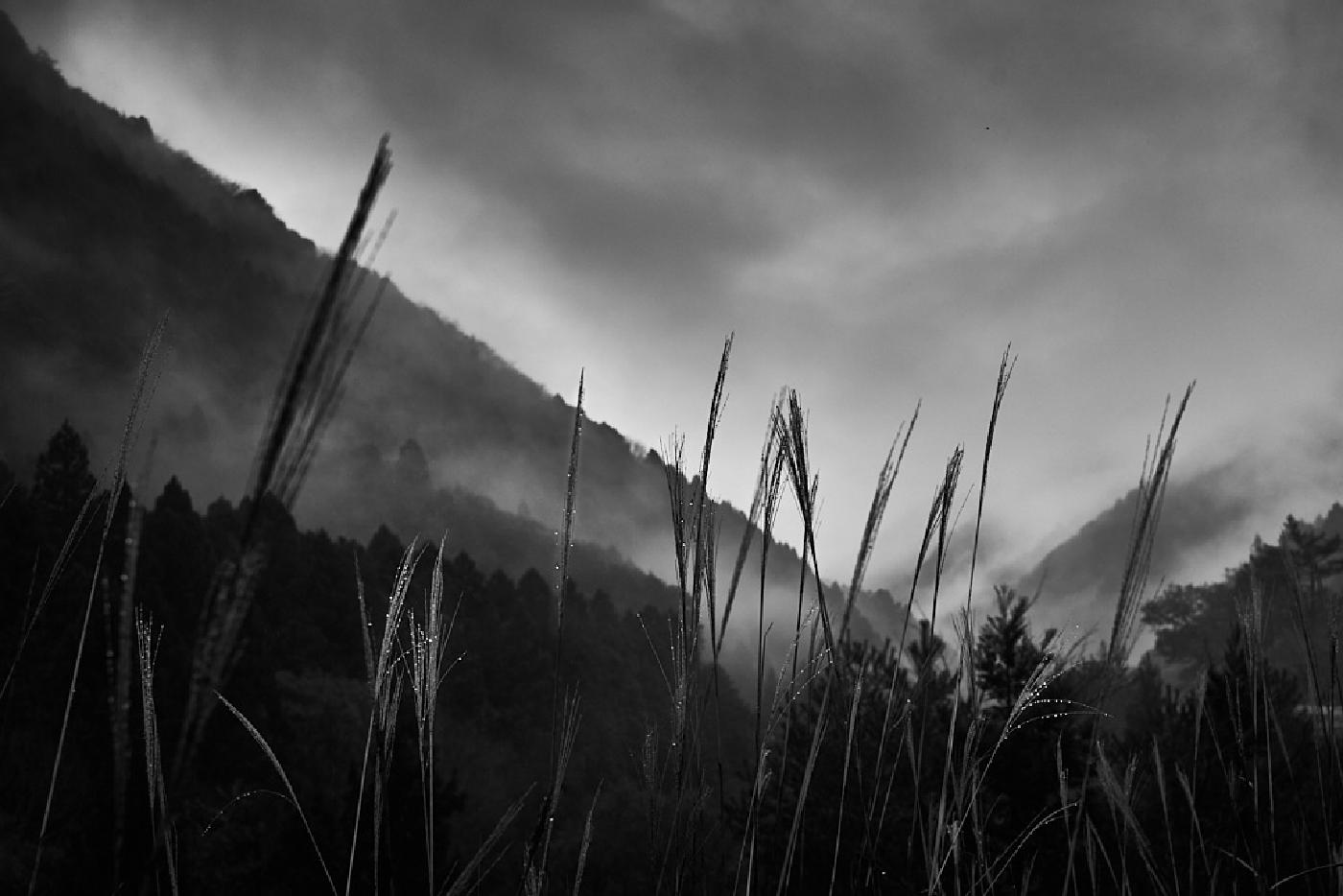 Photograph from Nakahechi