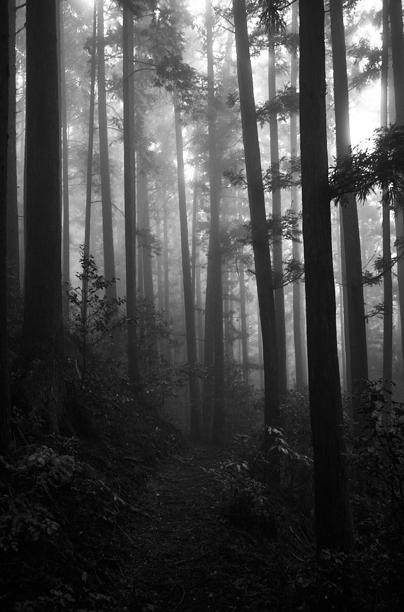 Photograph from Nakahechi