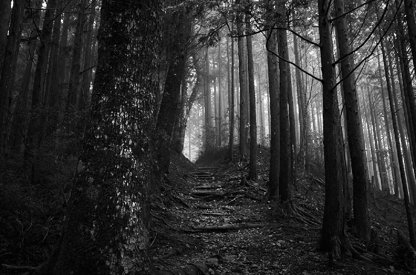 Photograph from Nakahechi