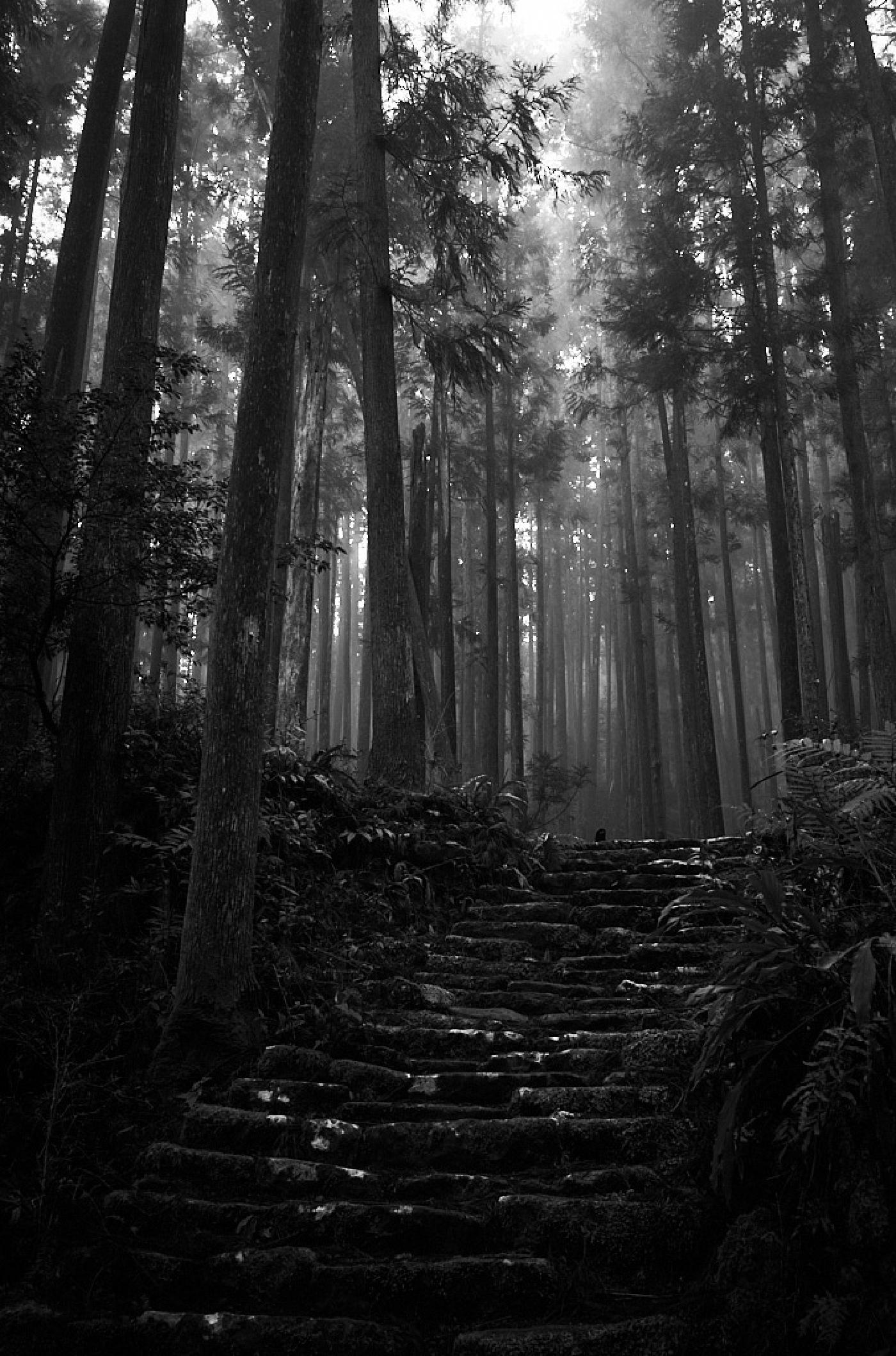 Photograph from Nakahechi