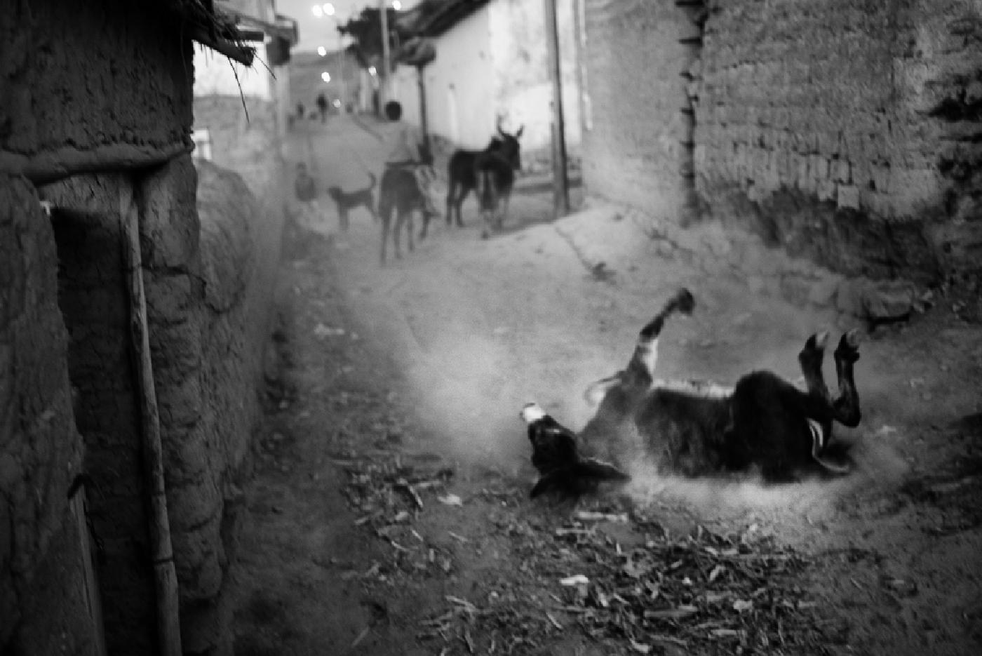 Photograph from Peru