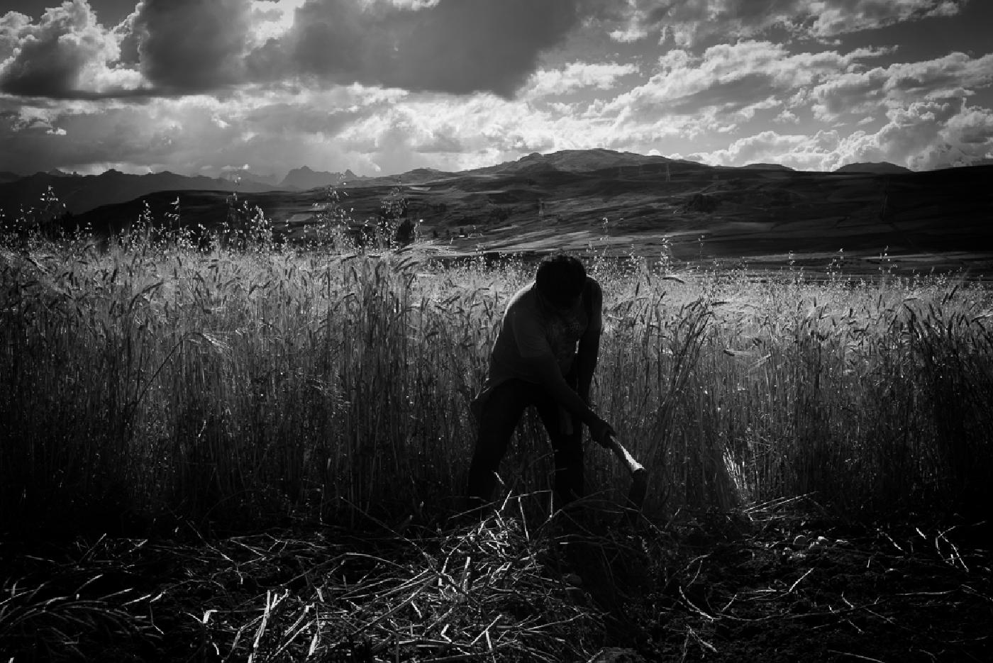 Photograph from Peru