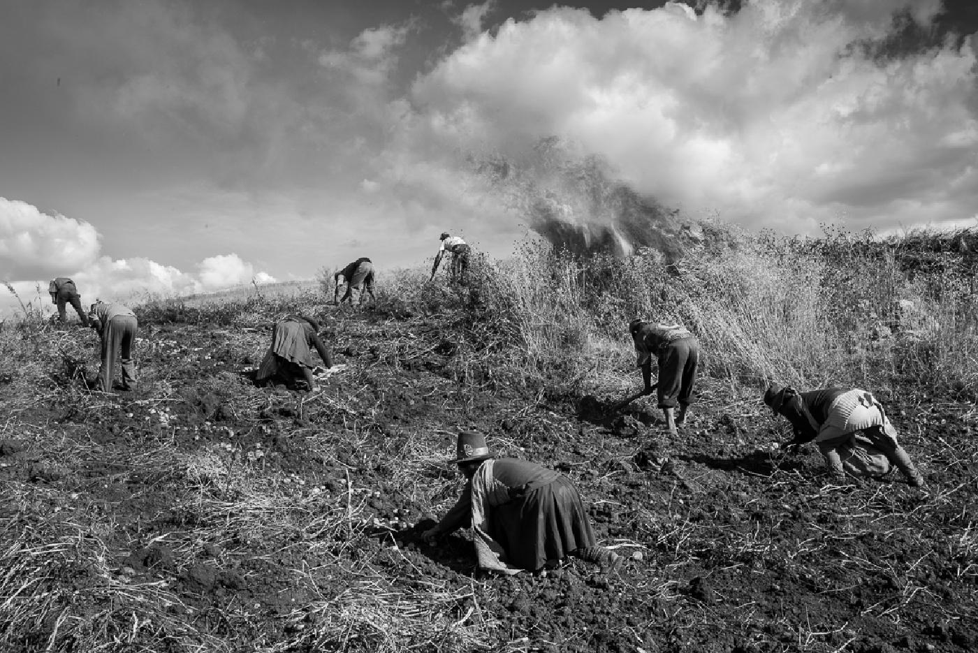 Photograph from Peru