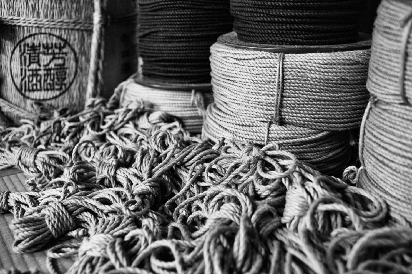 A Kinbaku Night