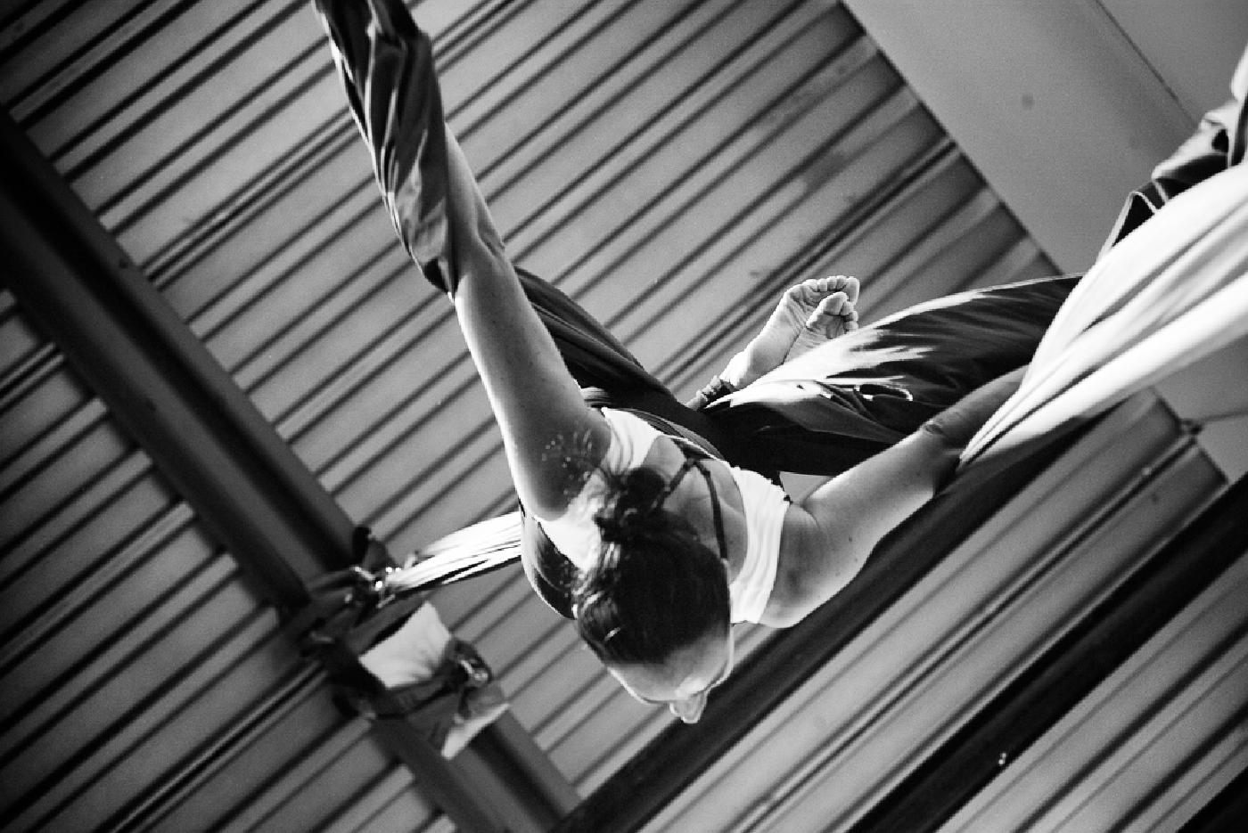 Photograph from The Aerialist
