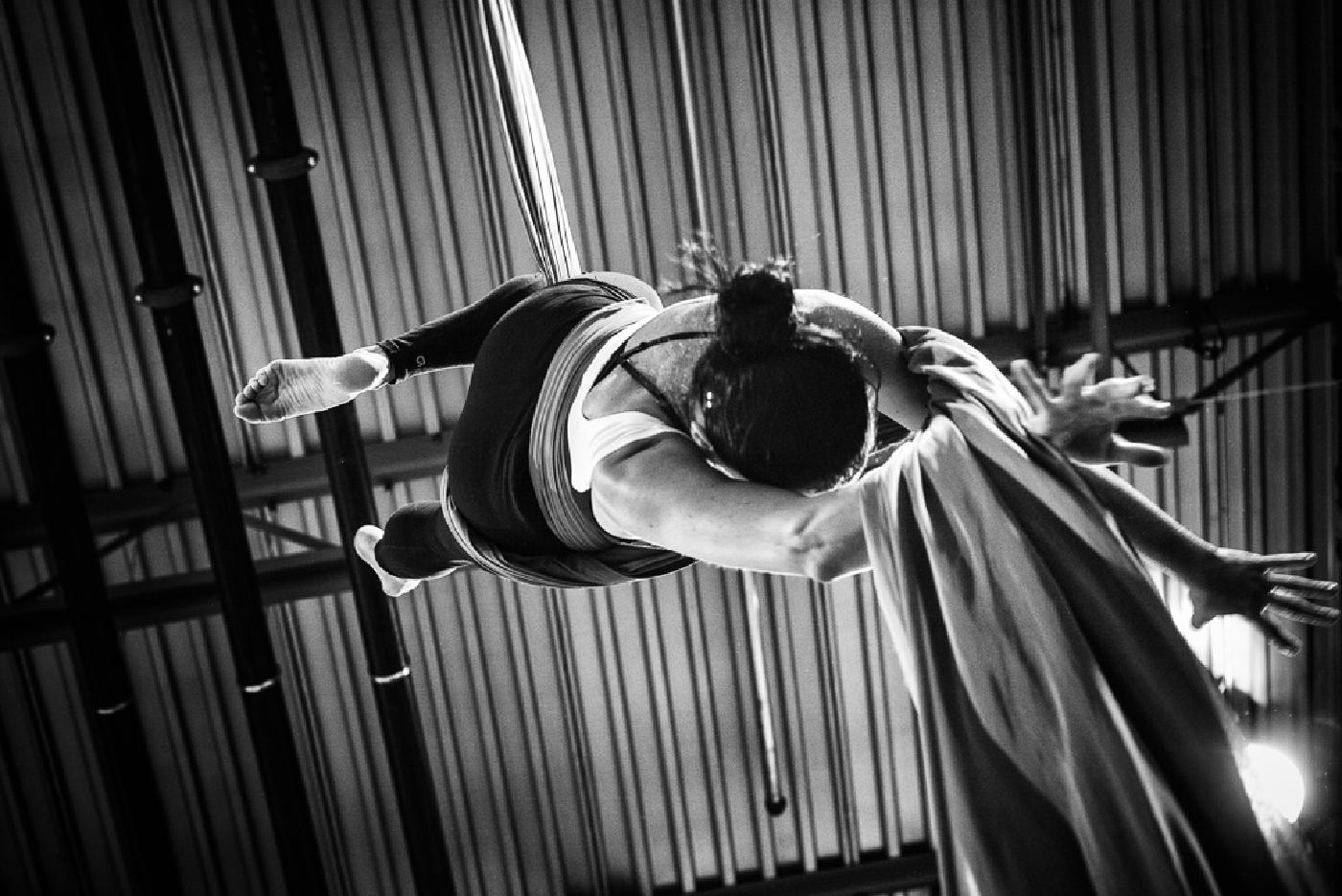 Photograph from The Aerialist