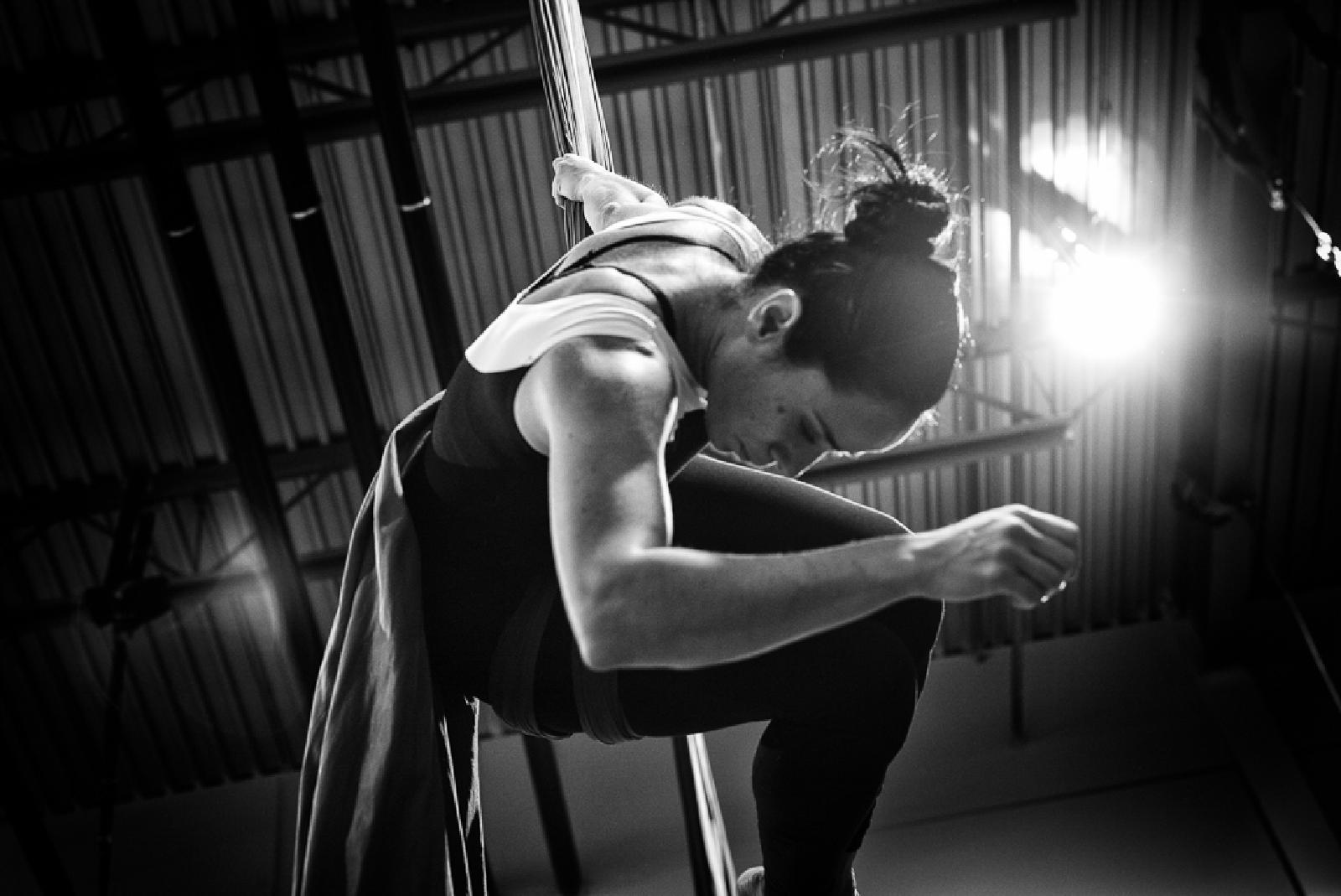 The Aerialist
